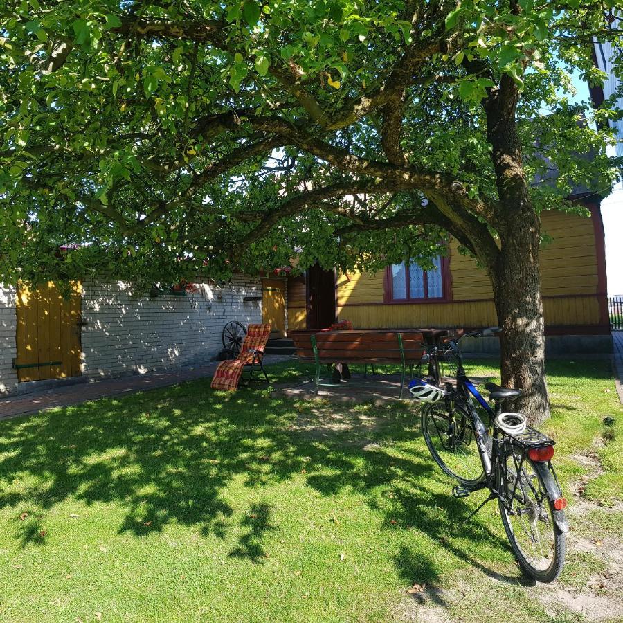 Maison d'hôtes Sloneczna Dolina Nad Biebrza à Goniądz Extérieur photo
