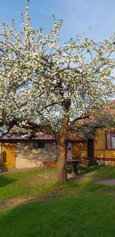Maison d'hôtes Sloneczna Dolina Nad Biebrza à Goniądz Extérieur photo