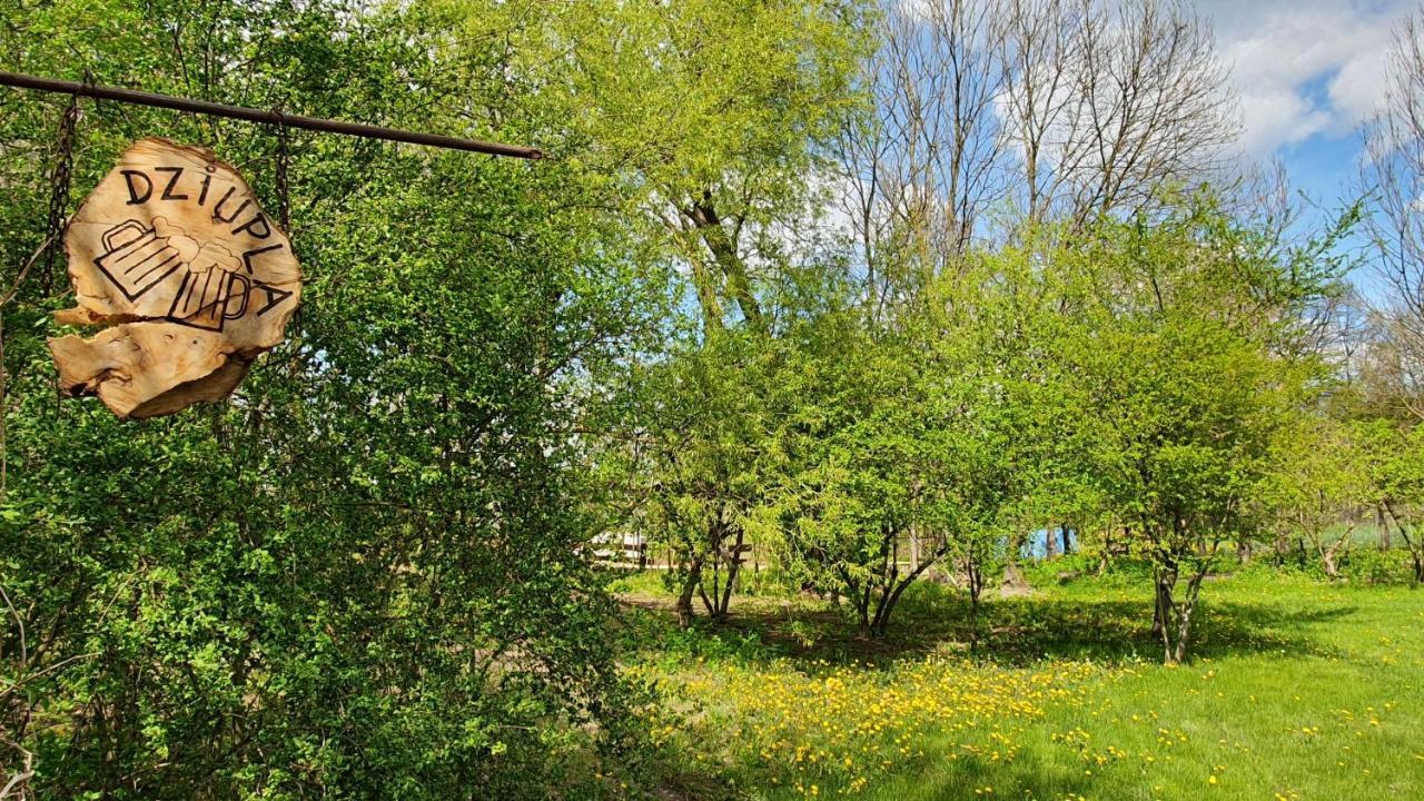 Maison d'hôtes Sloneczna Dolina Nad Biebrza à Goniądz Extérieur photo